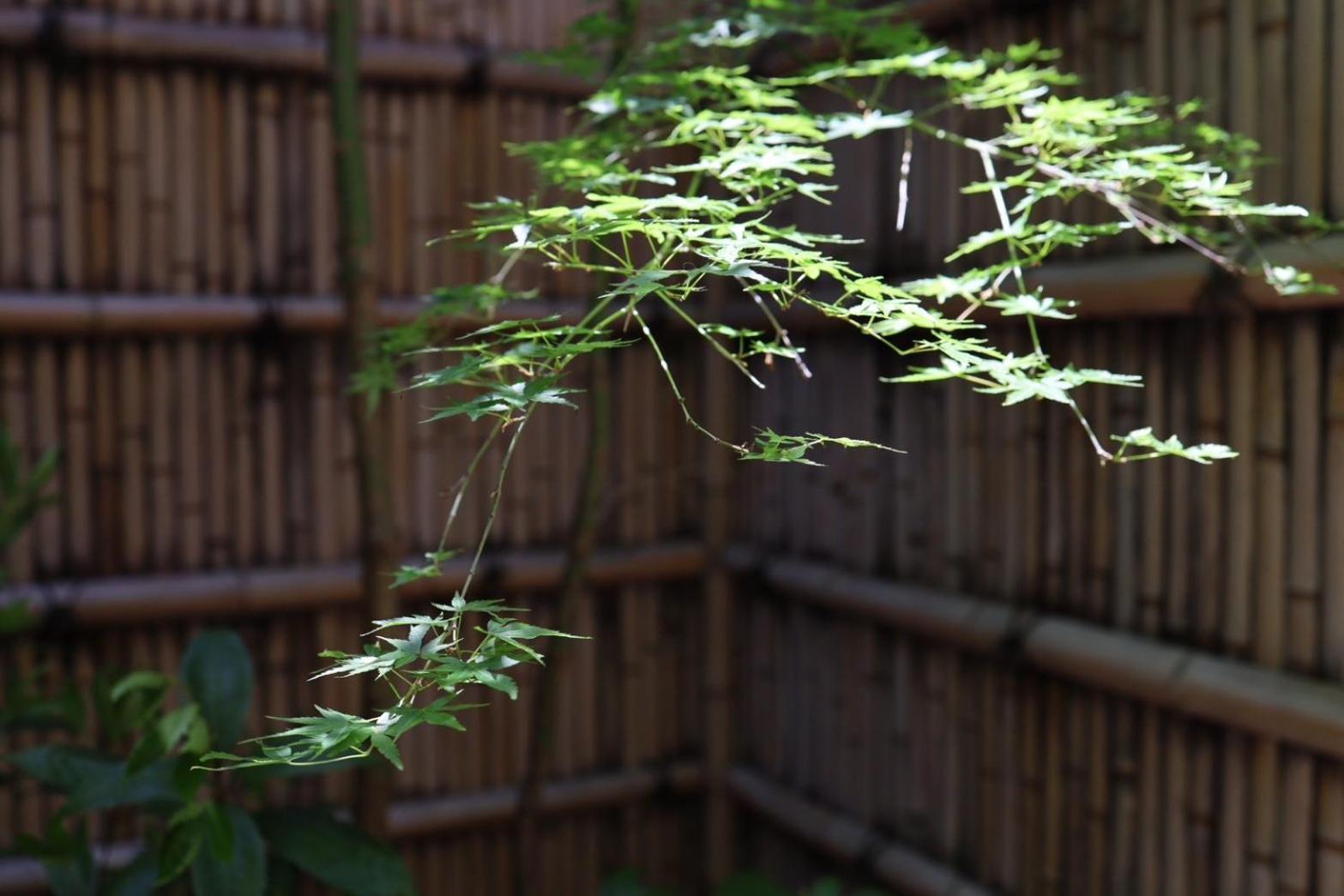 Hotel Rakurakuan Kyoto Exterior photo